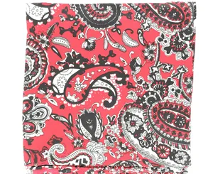 Paisley Print 100% Silk Wild Rag - Choose Blue, Grey, Lime or Red