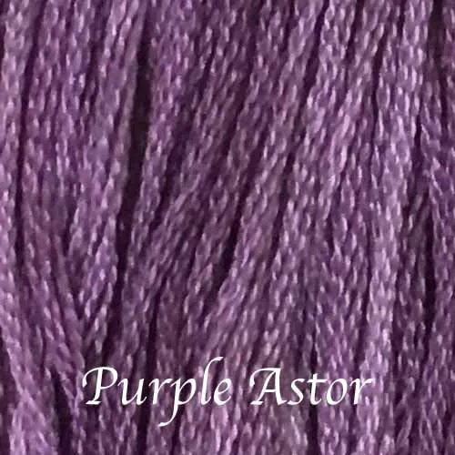 Purple Aster