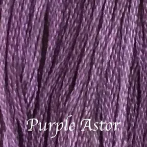 Purple Aster